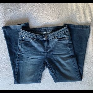 Jennifer Lopez Jeans